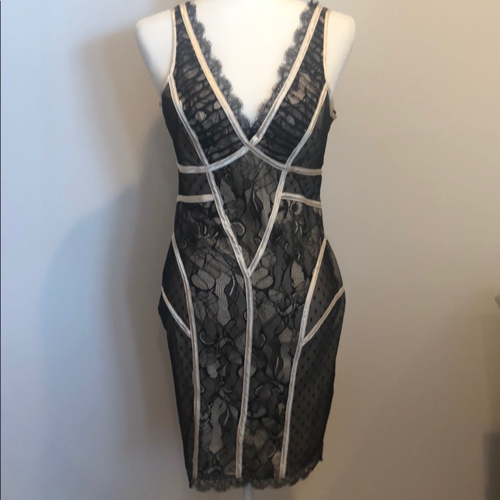 Lace Bebe Above The Knee Dress